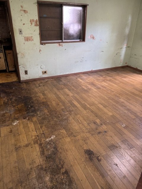 ゴミ屋敷清掃後(室内)