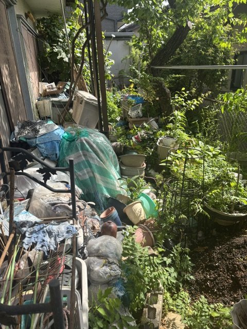 ゴミ屋敷清掃前(お庭)